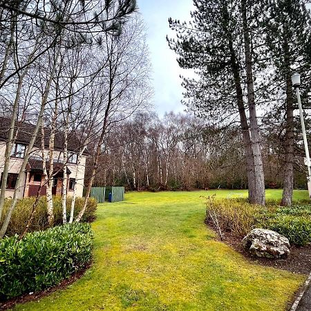 Comfortable, Modern Apartment With Parking. Inverness. Exteriör bild